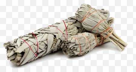 Download White Sage Smudge Stick - Sage Smudge Png,Sage Png