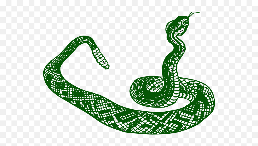 Download Anaconda Clipart Jungle Snake - Serpiente Blanco Y Snake Clip Art Png,Anaconda Png