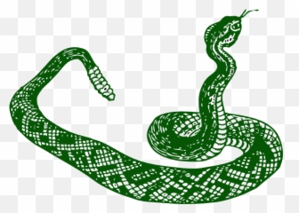 Download Anaconda Clipart Jungle Snake - Serpiente Blanco Y Snake Clip Art Png,Anaconda Png