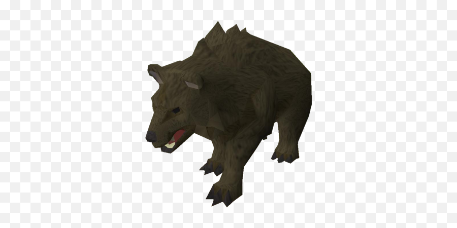Grizzly Bear - Grizzly Bear Png,Grizzly Bear Png