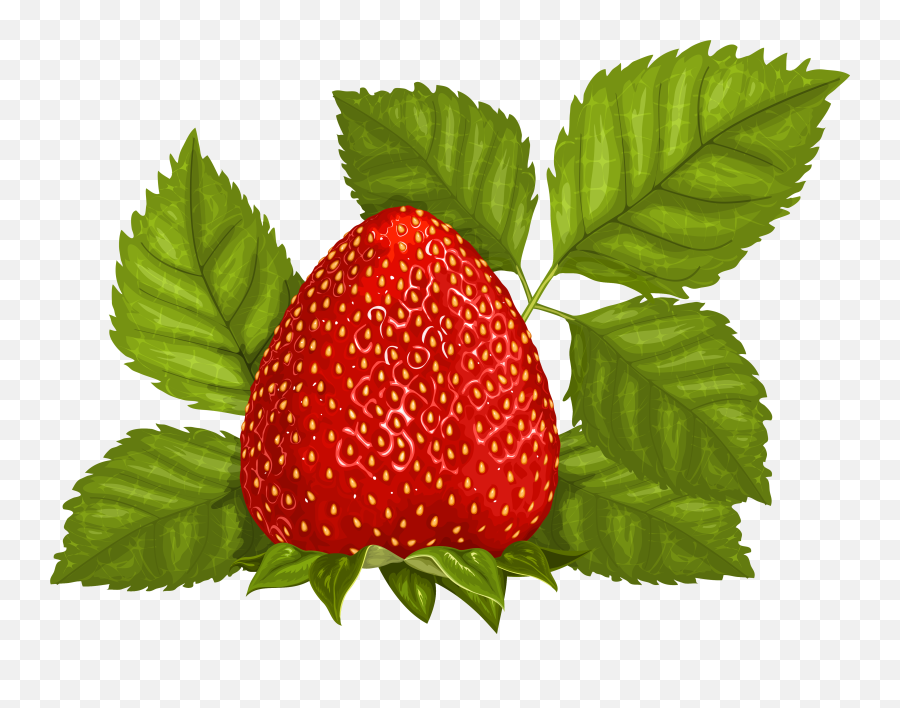 Leaves Png Clipart Picture - Strawberry Leaves Png,Leaves Clipart Png