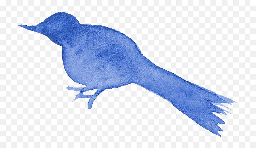 13 Watercolor Bird Silhouette - Blue Bird Drawing Png,Blue Bird Png