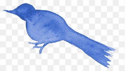 13 Watercolor Bird Silhouette - Blue Drawing Png