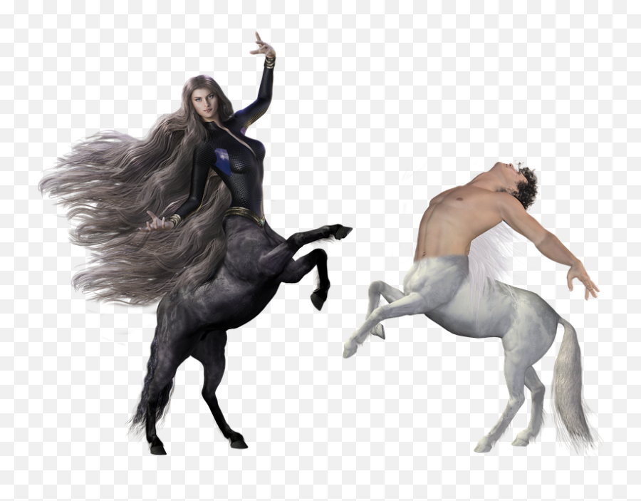 Zentauer Dance Fantasy - Free Photo On Pixabay Horse Round Sticker Png,Fantasy Png