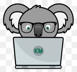 Koala - Cartoon Png,Koala Transparent