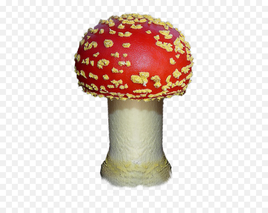 Mushroom Autumn Red - Fly Agaric Png,Fungi Png
