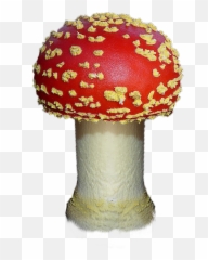 Mushroom Autumn Red - Fly Agaric Png,Fungi Png