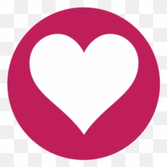 Our Story - Volo Passion Icon png