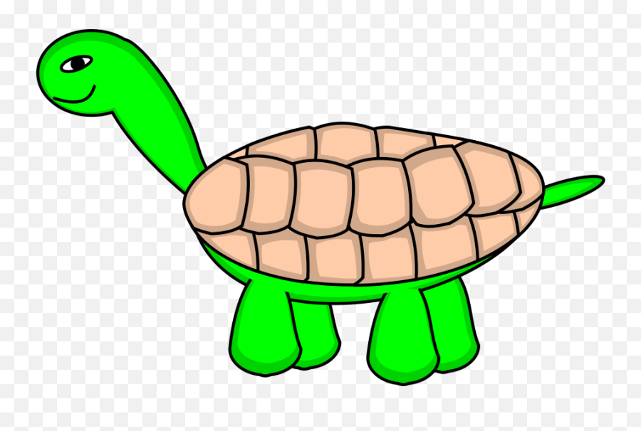 Tortoise Stage 6 Final Png Clip Arts For Web - Clip Arts Tortuga De Carey Dibujo,Tortoise Png