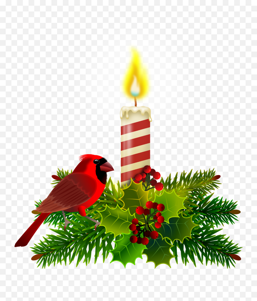 Download Ornamento De Natal - Northern Cardinal Png Image Natal Png Fundo Transparente,Ornamentos Png