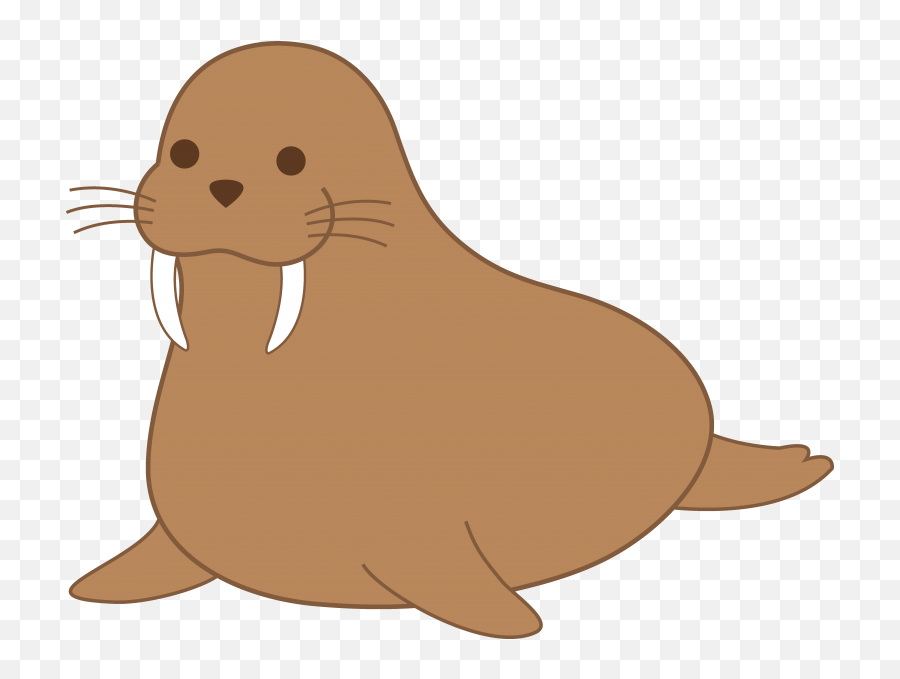 Png Picture For Designing Projects - Walrus Clipart,Walrus Png