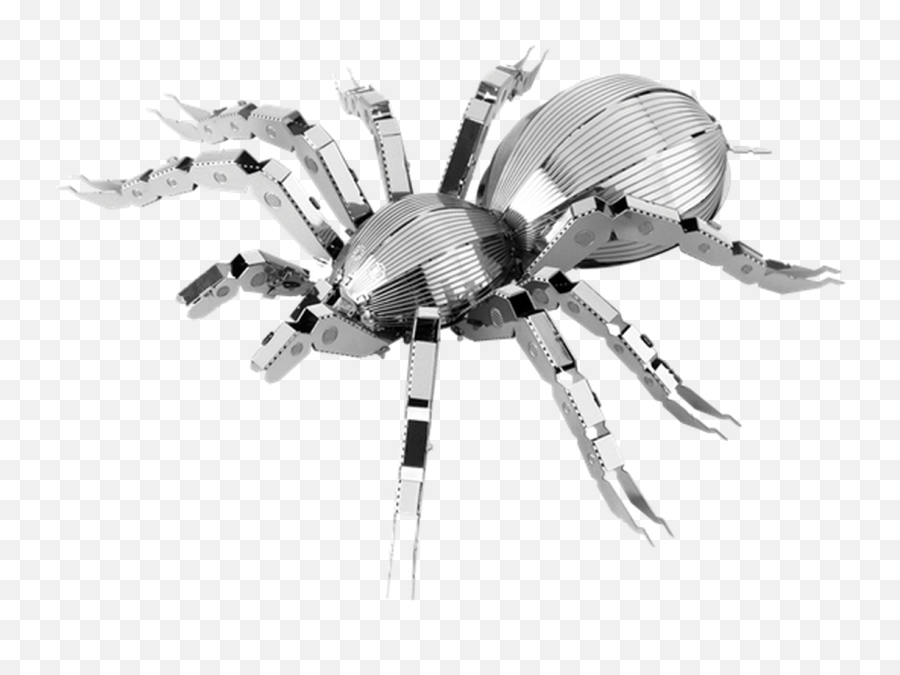 Spider Tarantula Metal Earth Model Kit - Metal Bugs Png,Tarantula Png
