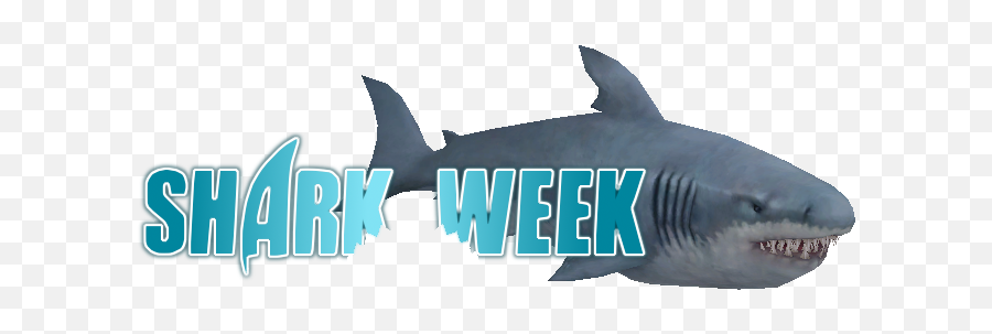 Download Hd Left Shark Exchangefont - Great White Shark Great White Shark Png,Shark Transparent