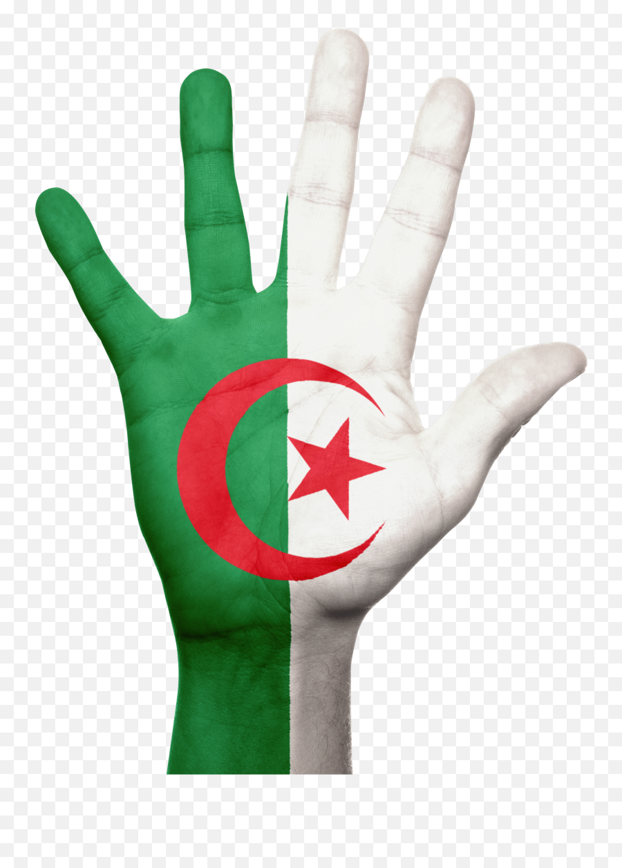 Snappygoatcom - Free Public Domain Images Snappygoatcom Algeria Hand Flag Png,Patriotic Png
