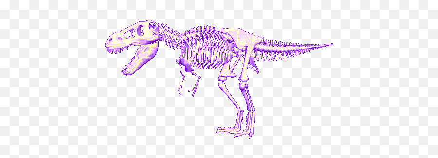 Trex Png Transparent Images - Tyrannosaurus Rex,Trex Png
