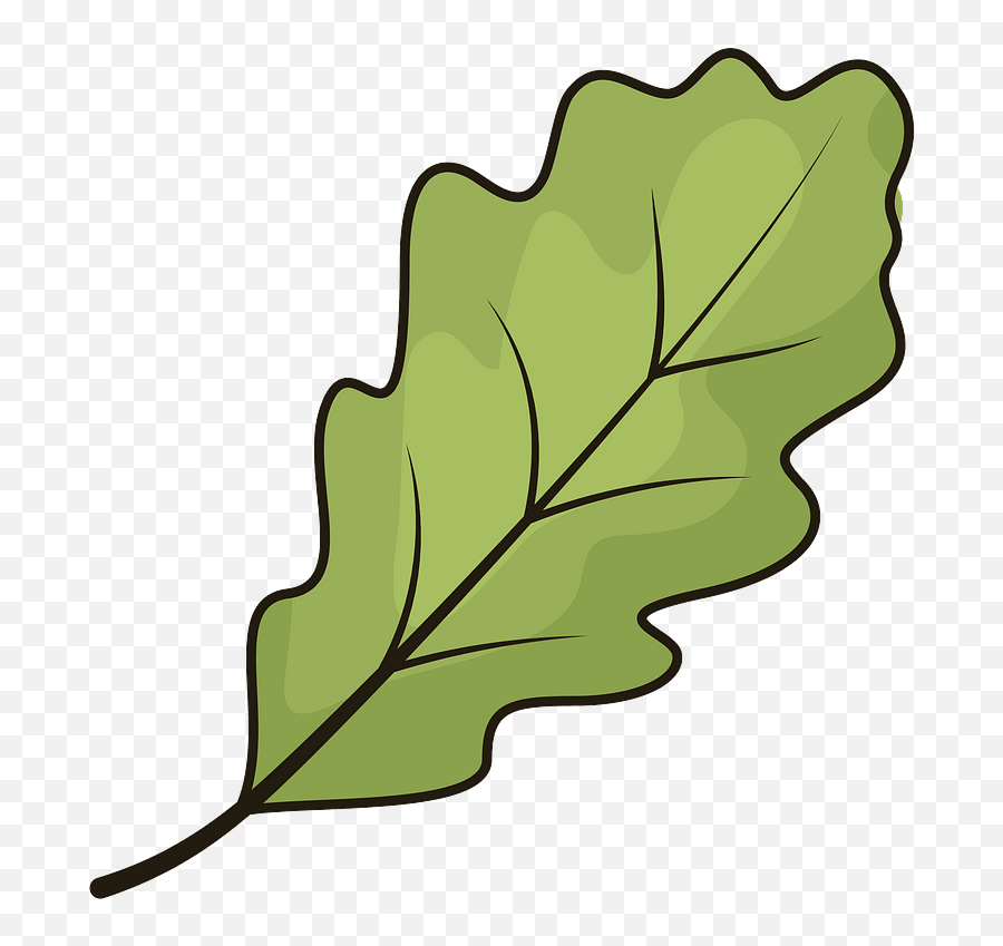 Oak Leaf Clipart - Clip Art Oak Leaf Png,Oak Leaf Png