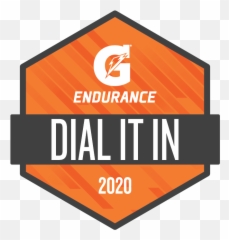 Gatorade Endurance Dial It In - Musei San Domenico Forlì png