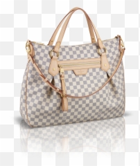 Women Bag Download Png Image