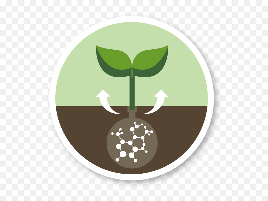 Home Agritecno Biostimulants And Plant Nutrition - Plant Nutrition Icon Png,Fertilizer Icon