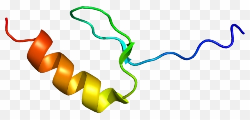 Kat6a - Wikipedia Kat6a Protein png
