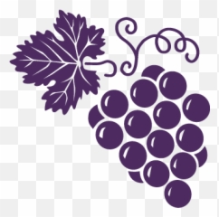 Wine 101 Types Of West Coast Cellars Guide To Png