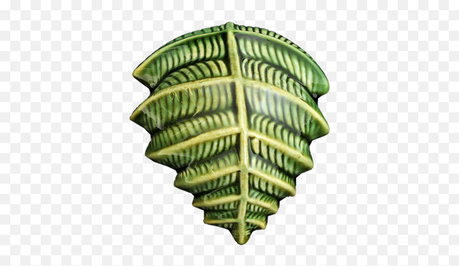 Icon Fern - Steiner Ceramics Handmade Ceramics In New Zealand Vertical Png,Fern Icon