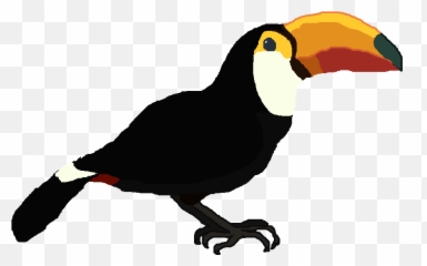 Tucan Png 1 Image - Tucan Png,Tucan Png