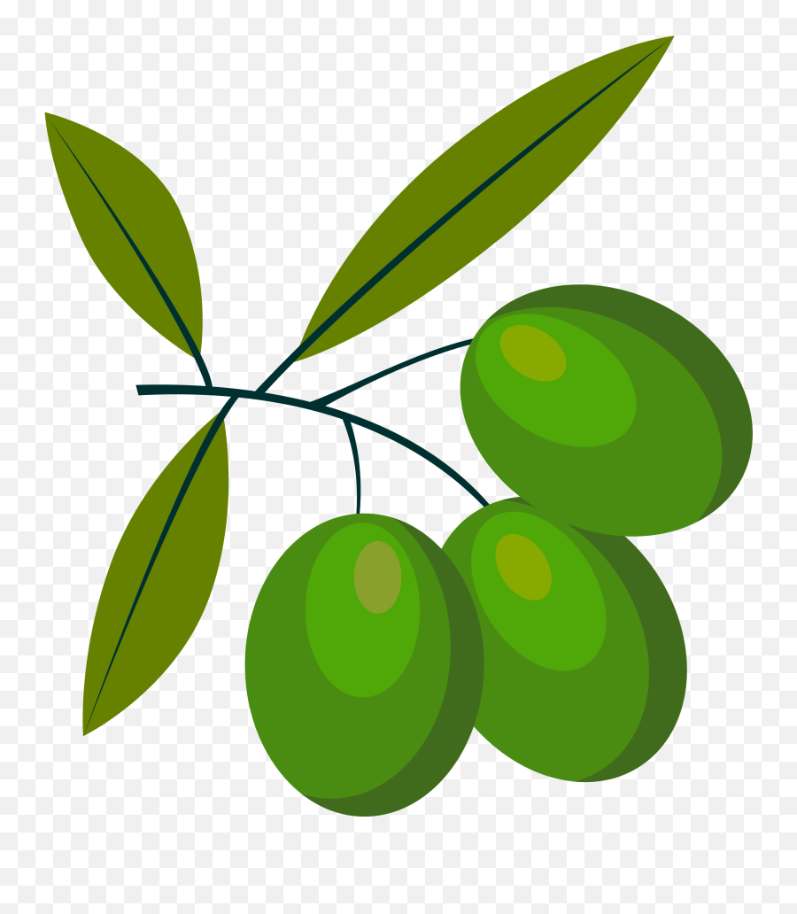 White Download Olives Png Files - Olive Clipart Png,Olive Png