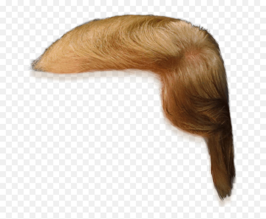 Trump Hair Transparent Png Image - Trump Hair Png,Trump Transparent Background