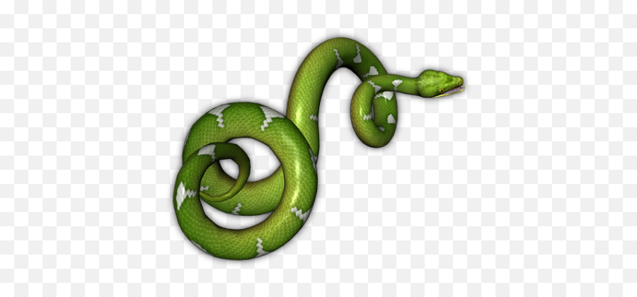 Green Snake Transparent Background - Transparent Background Snake Clipart Png,Snake Transparent Background