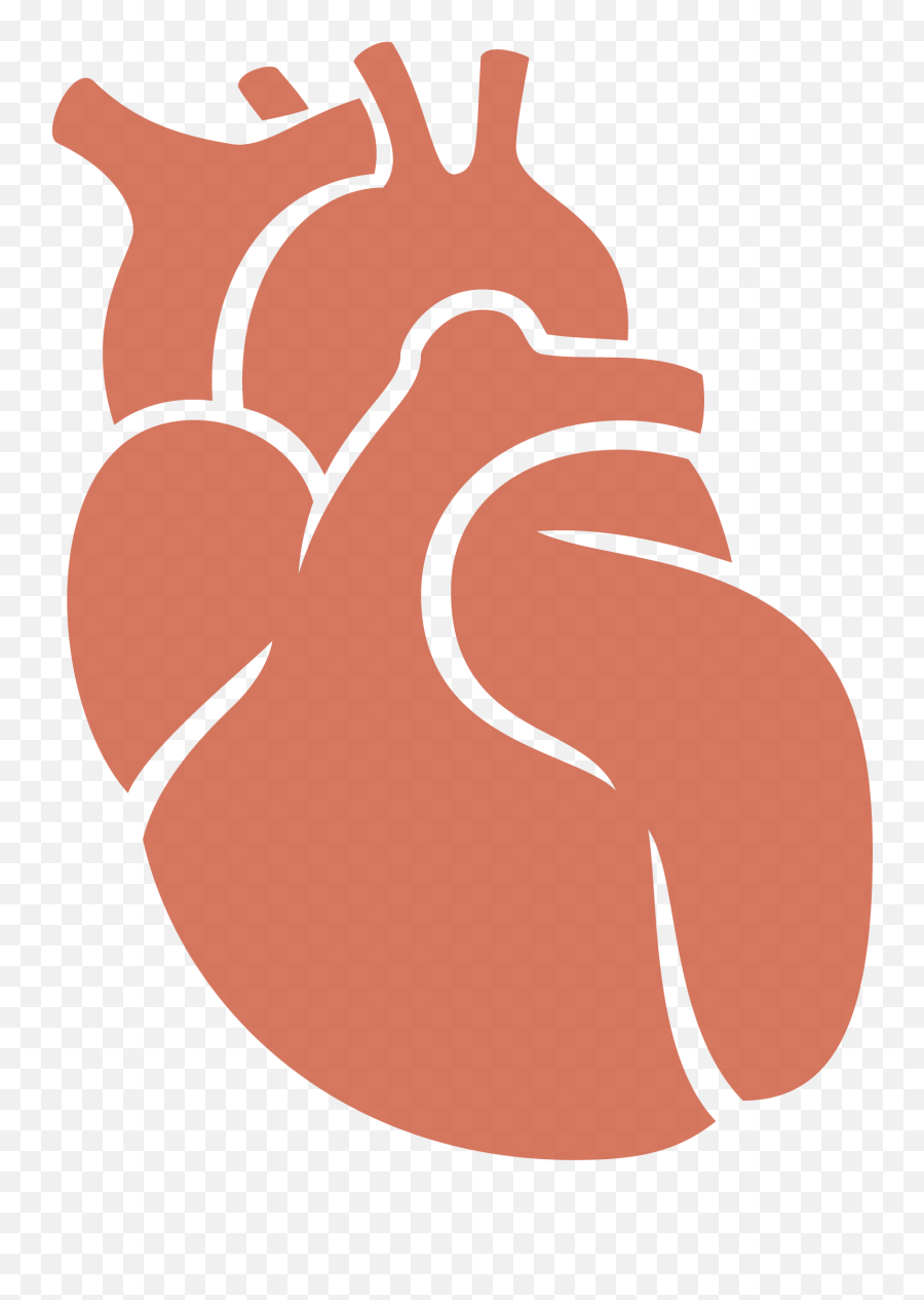 Library Of Heart Transplant Png Freeuse - Organ Donation Transparent Background,Heart Organ Png
