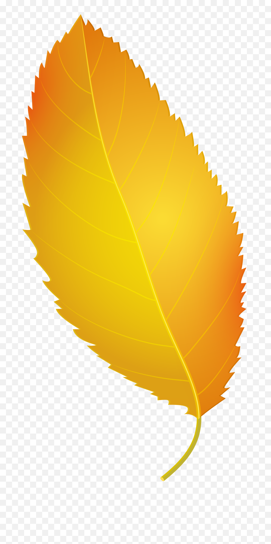 Fall Leaves Clipart Hd Png Download - Yellow Autumn Leaf Transparent,Fall Leaves Transparent Background