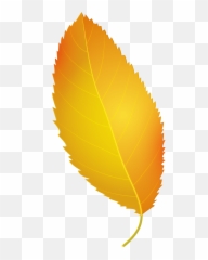 Fall Leaves Clipart Hd Png Download - Yellow Autumn Leaf Transparent