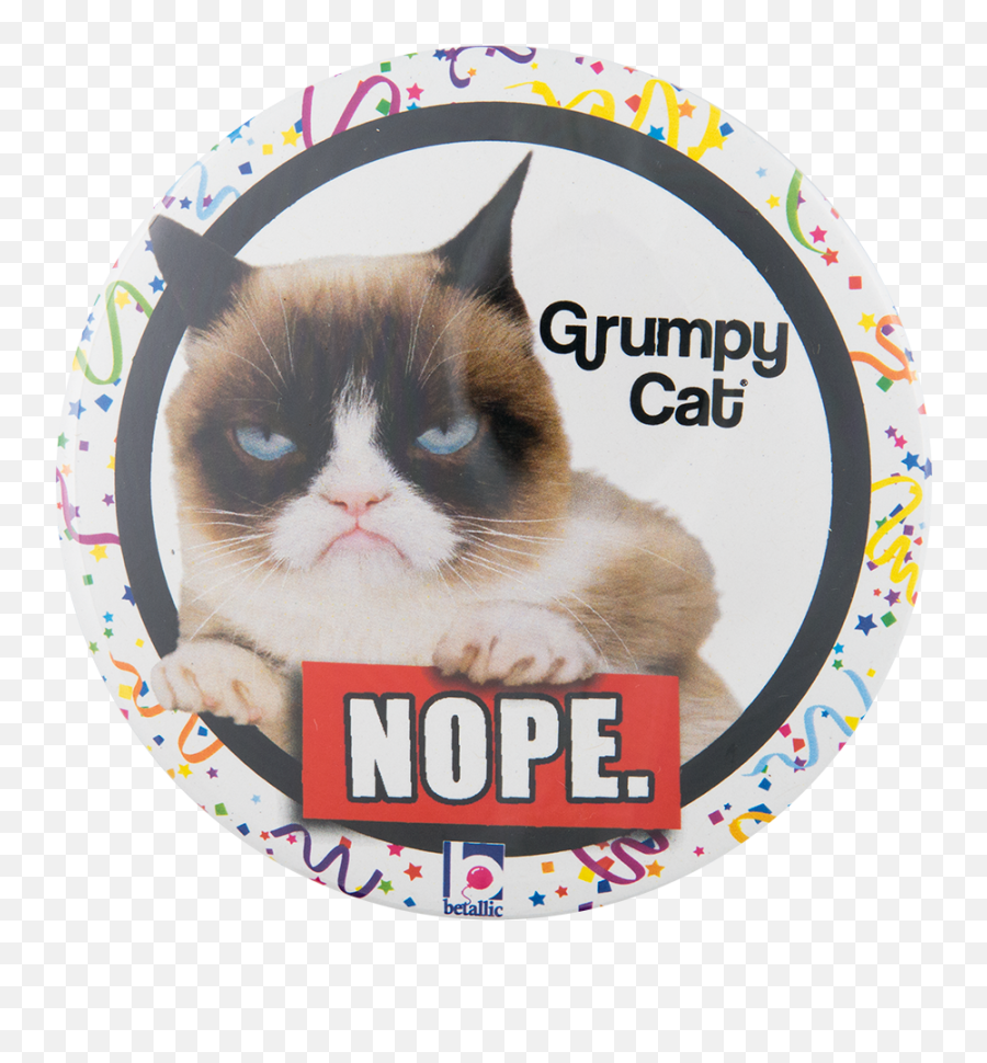 Grumpy Cat - Grumpy 40th Bday Png,Grumpy Cat Png