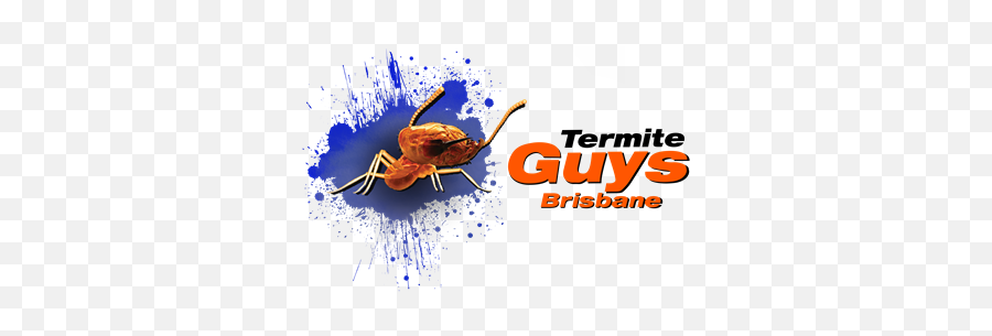 Your Termite Treatment And Inspection Specialists - Insect Png,Termite Png