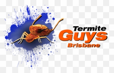 Your Termite Treatment And Inspection Specialists - Insect Png,Termite Png