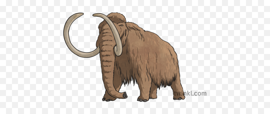 Схема woolly mammoth