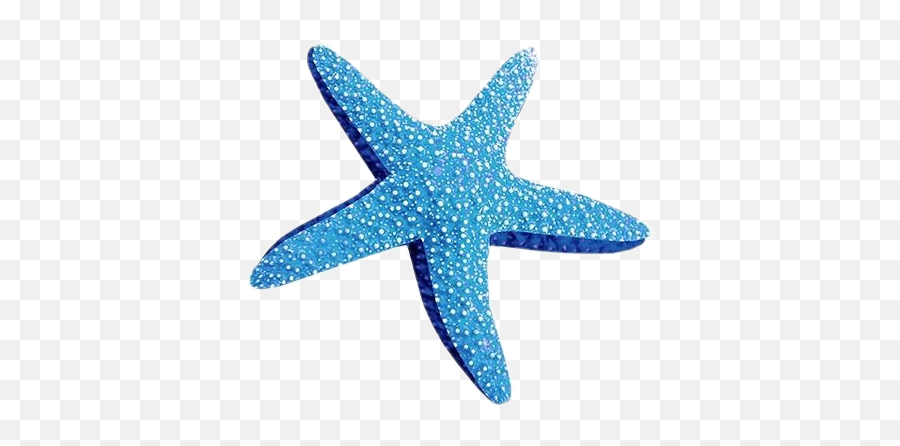 Starfish Blue Bluepng Bluepngs Png - Blue Starfish Png,Starfish Png