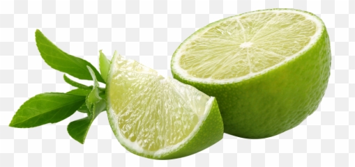 Green Lemon Slice Png Transparent - Transparent Green Lemon Png,Lime Transparent