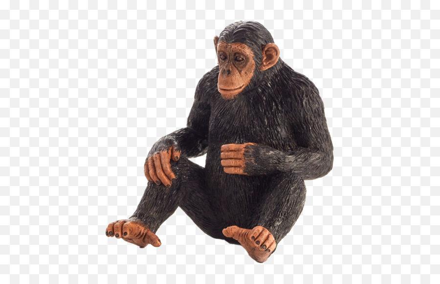 Chimpanzee Mojo - Monkey Animal Planet Toy Png,Chimpanzee Png