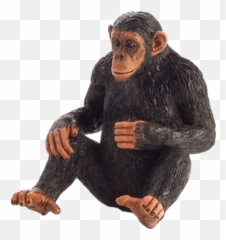 Chimpanzee Mojo - Monkey Animal Planet Toy Png,Chimpanzee Png