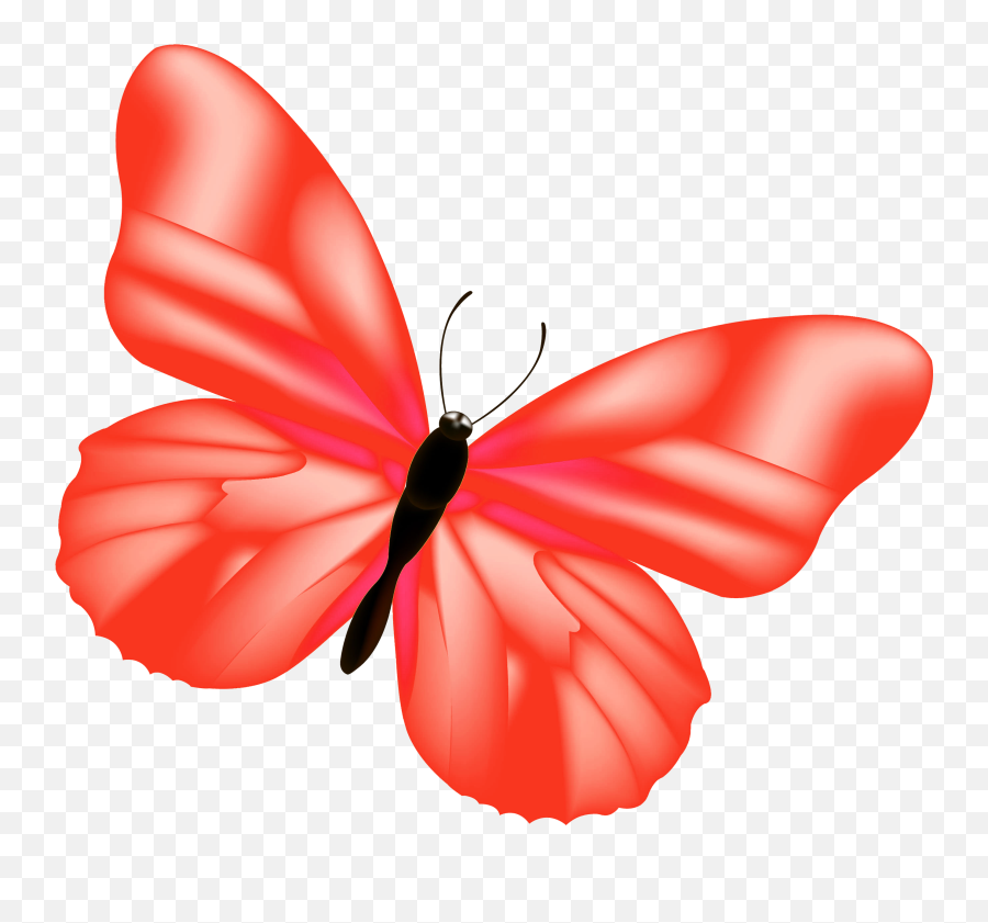 Red Butterfly Png - Pink Butterfly Png Full Size Png Pin On Mariposas,Pink  Butterfly Png - free transparent png images 