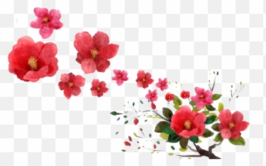 Raining Money - Falling Flowers Png HD Download Dropping