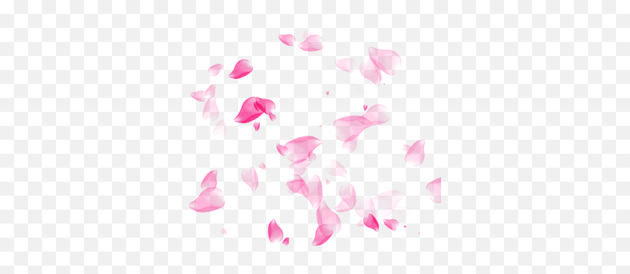 Cherry Blossom Gif Transparent - Scattered Pink Rose Petals Png,Cherry Blossom Petals Png