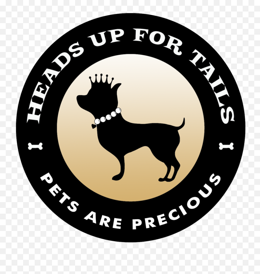 Heads Up For Tails India - Based Dog Accessory Brand Enters Heads Up For Tails Png,Tails Transparent