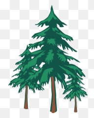St Andrew United Church - Christ Redwood Grove Hotel Child Large Size Large Christmas Background Png,Redwood Tree Png