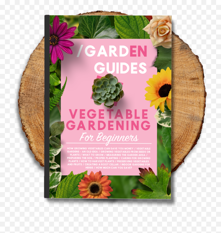 Vegetable Gardening For Beginners - Gardening Png,Vegetable Garden Png