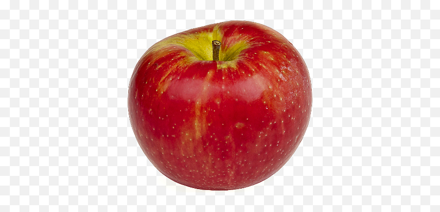 Png Transparent Apple Fruit - Good Apple,Fruit Transparent