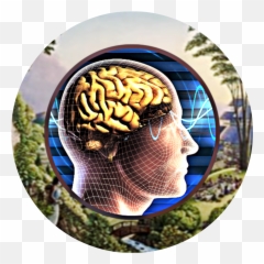 Icnirp U2013 Investigative Files Articles Papers - Brain png