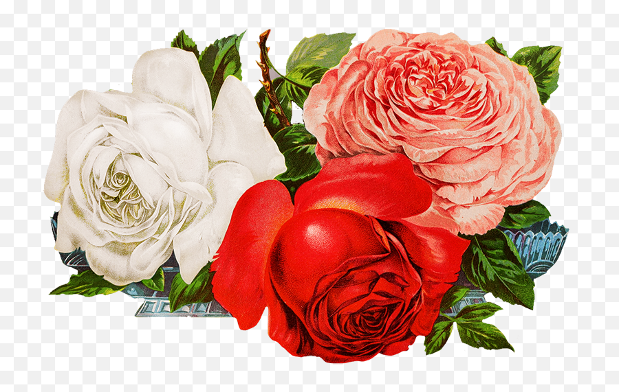 Digital Scrapbooking Flowers - Digital Roses Png,Real Rose Png